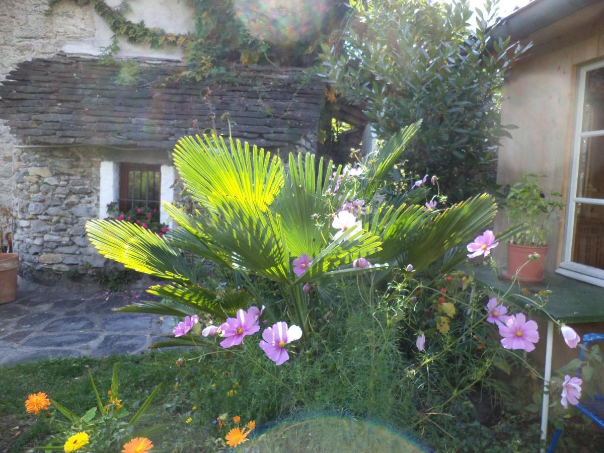 אינטרניה B&B Casa Codega מראה חיצוני תמונה
